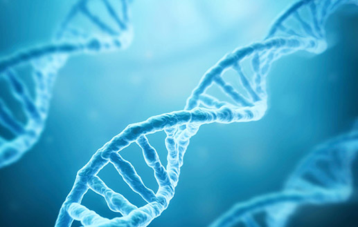 eQMS Buyer’s Guide for Life Science Manufacturers